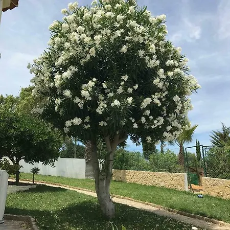 Cegonha Powered By Cegonha Resort- Private Swimming Pool & Air Con Villa